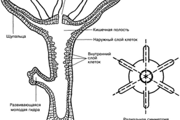 Ссылка на кракен kr2web in