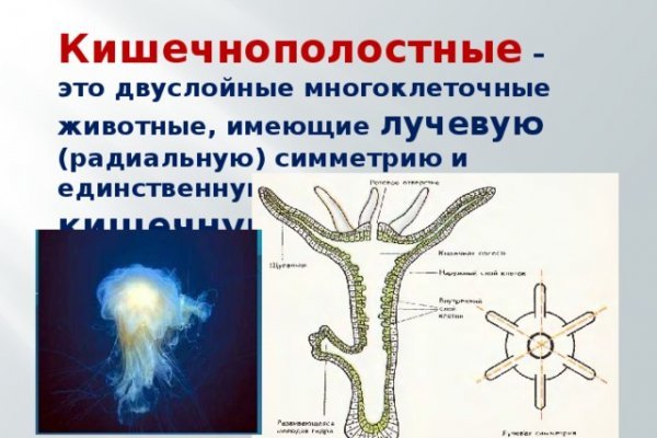 Почему не работает кракен сегодня
